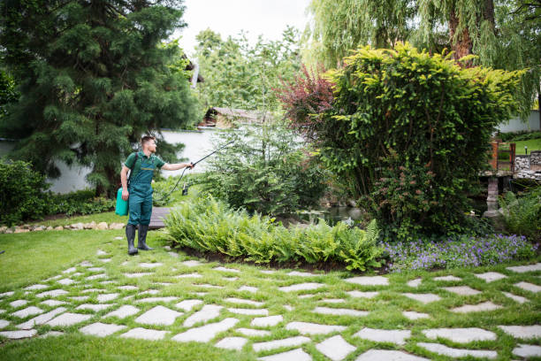 Best Best Pest Control Companies  in Hansville, WA