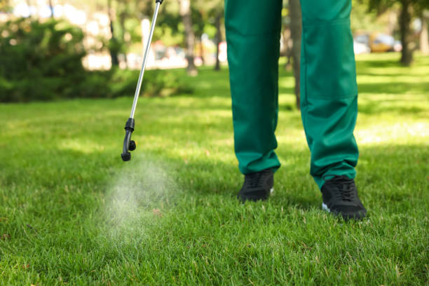 Best Affordable Pest Control Services  in Hansville, WA
