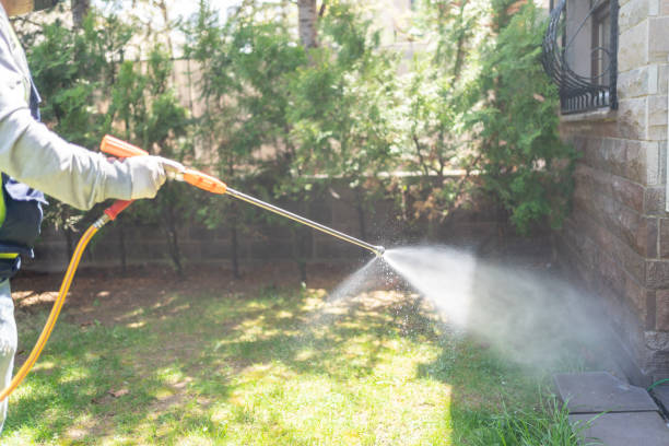 Best Bed Bug Extermination  in Hansville, WA