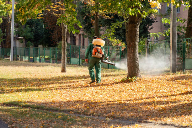 Professional Pest Control in Hansville, WA