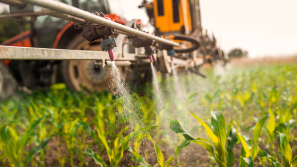  Hansville, WA Pest Control Pros
